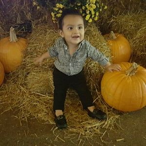 Meet your Posher, Bridget