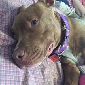 Meet your Posher, Angela