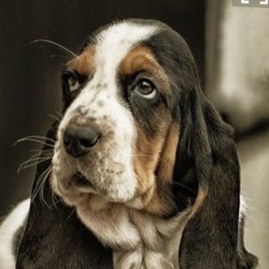 Meet your Posher, Ali