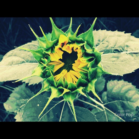 Meet your Posher, Jenna