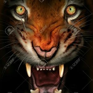 Meet your Posher, Paul