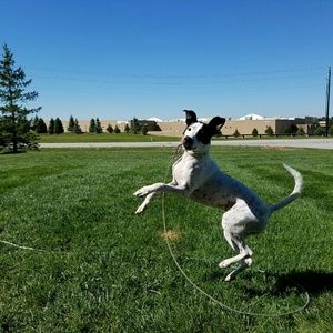 Meet your Posher, Rhonda