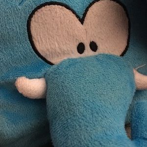 Meet your Posher, Ann