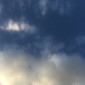 Meet your Posher, Florence