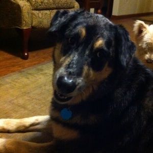 Meet your Posher, Anna