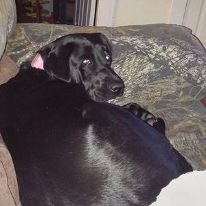 Meet your Posher, Latrisha