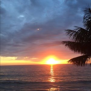 Meet your Posher, Patty