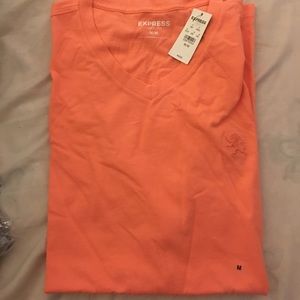 NWT V neck tee