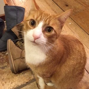 Meet your Posher, Deb