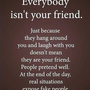 Meet your Posher, Joey