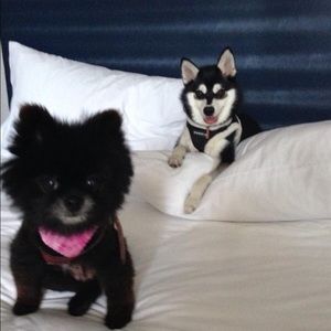 Meet your Posher, Lori