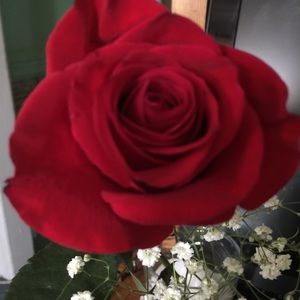 Meet your Posher, Maria