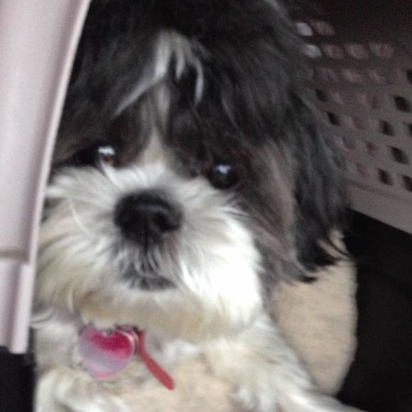 Meet your Posher, Angel - Picture 1 of 1