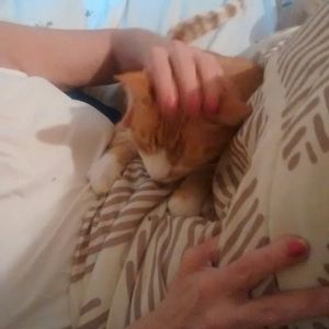 Meet your Posher, Brenda