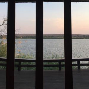 Meet your Posher, Owen