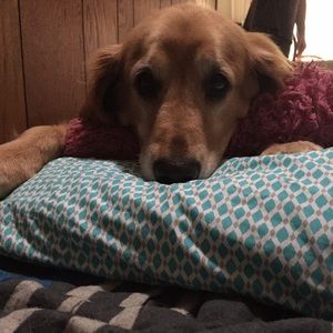 Meet your Posher, Jordyn