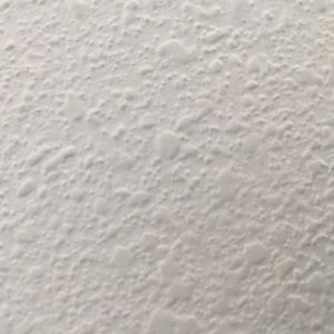 Meet your Posher, Leandro