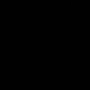 Meet your Posher, Danni