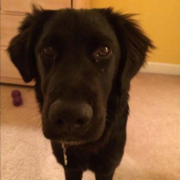 Meet your Posher, Ellie