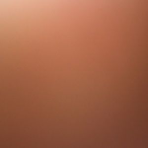 Meet your Posher, Briana