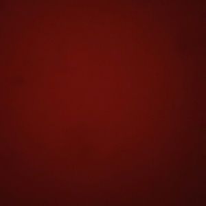 Meet your Posher, Terry