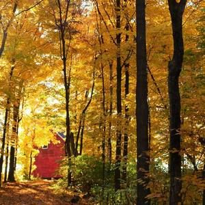 Meet your Posher, Deantha