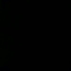 Meet your Posher, Tabby