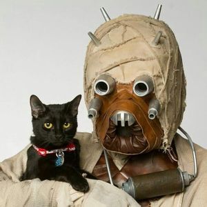 Meet your Posher, Maurice