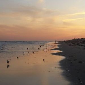 Meet your Posher, Kathi