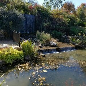 Meet your Posher, Dawn