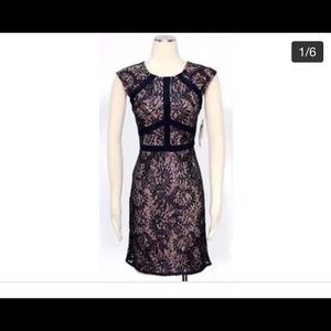 Navy Lace sparkle dress