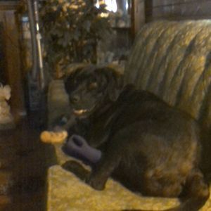 Meet your Posher, Patricia