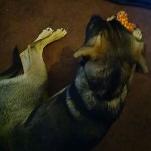 Meet your Posher, Vincent