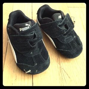 Little baby Pumas!
