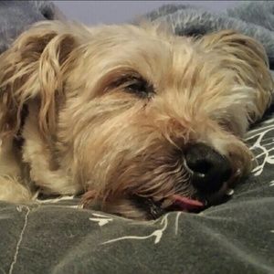 Meet your Posher, Jodi