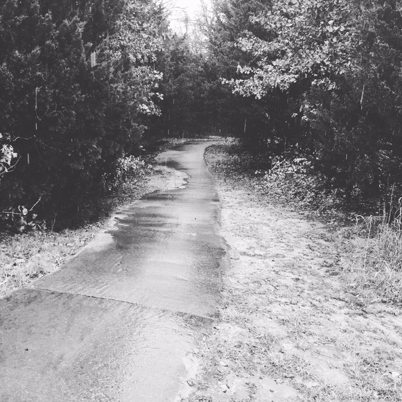 Meet your Posher, Lily