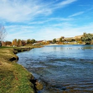 Meet your Posher, Brayden