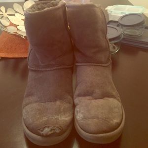 UGG Classic Short Grey Boots