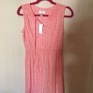 NWT Loft dress