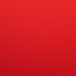 Meet your Posher, Reyna