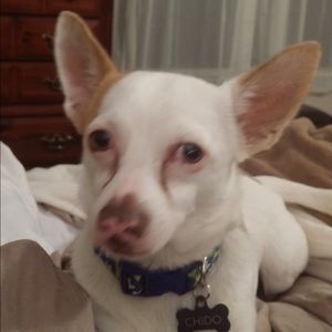 Meet your Posher, Adrian