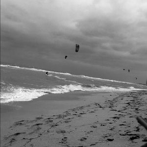 Meet your Posher, Daniela