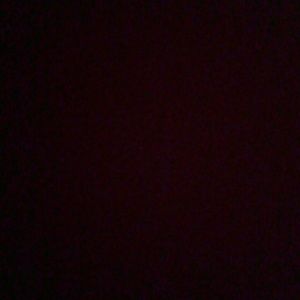 Meet your Posher, Leon