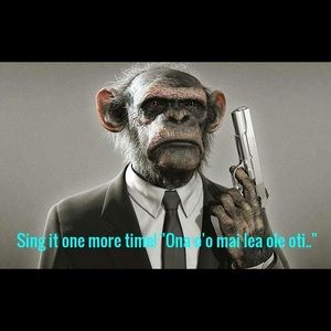 Meet your Posher, Krystal