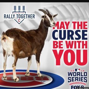 Meet your Posher, Jan