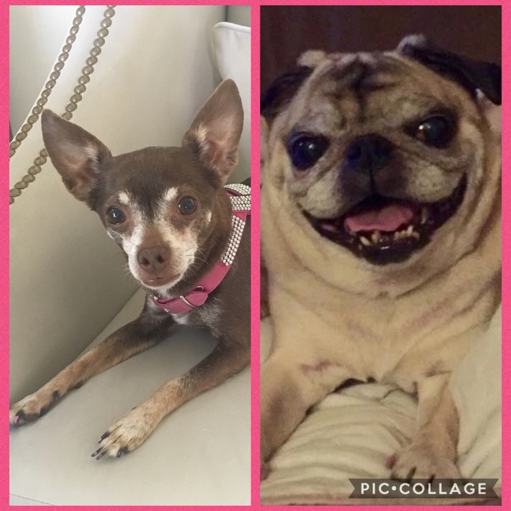 Meet your Posher, Christine