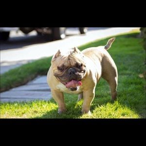 Meet your Posher, Maria