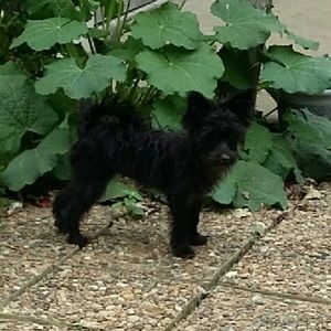 Meet your Posher, Willie