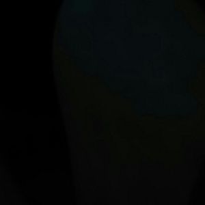 Meet your Posher, Briea