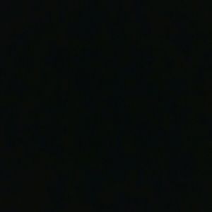 Meet your Posher, Ty